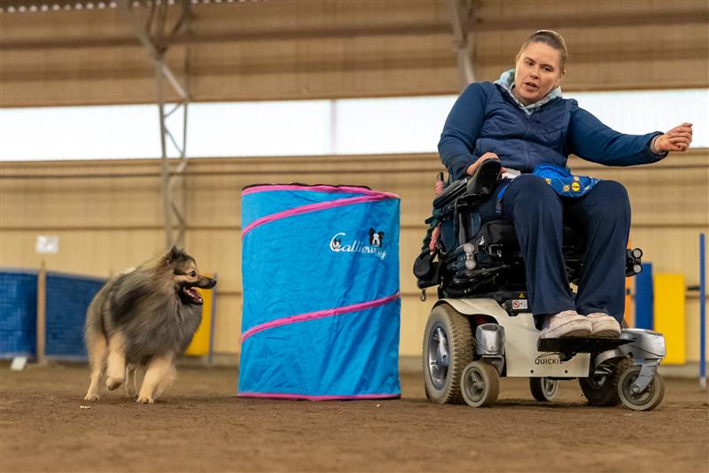 Pyörätuolia käyttävä nainen ohjaamassa koiraa agility-radalla.